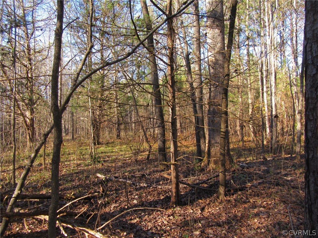7659 Jerusalem Plank Road Disputanta, VA 23842 - Photo 38 of 42 Gallery Image 38