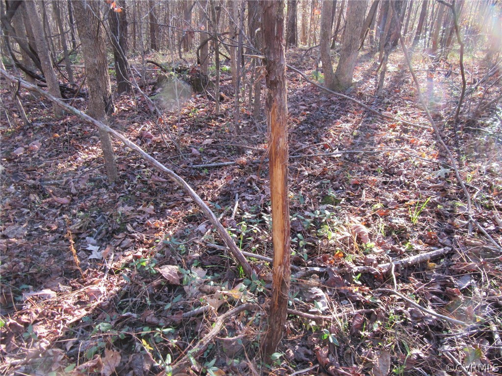 7659 Jerusalem Plank Road Disputanta, VA 23842 - Photo 39 of 42 Gallery Image 39