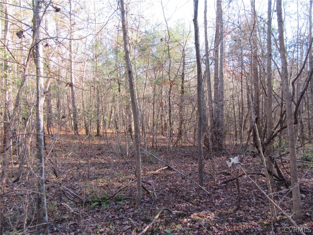 7659 Jerusalem Plank Road Disputanta, VA 23842 - Photo 40 of 42 Gallery Image 40