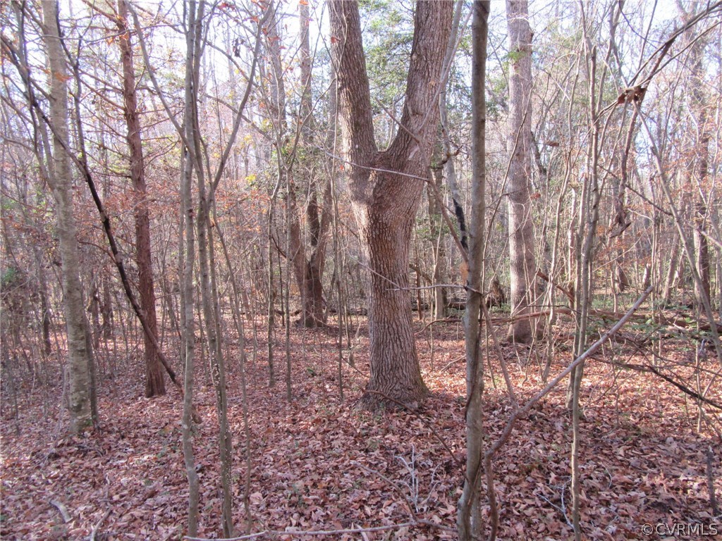 7659 Jerusalem Plank Road Disputanta, VA 23842 - Photo 41 of 42 Gallery Image 41