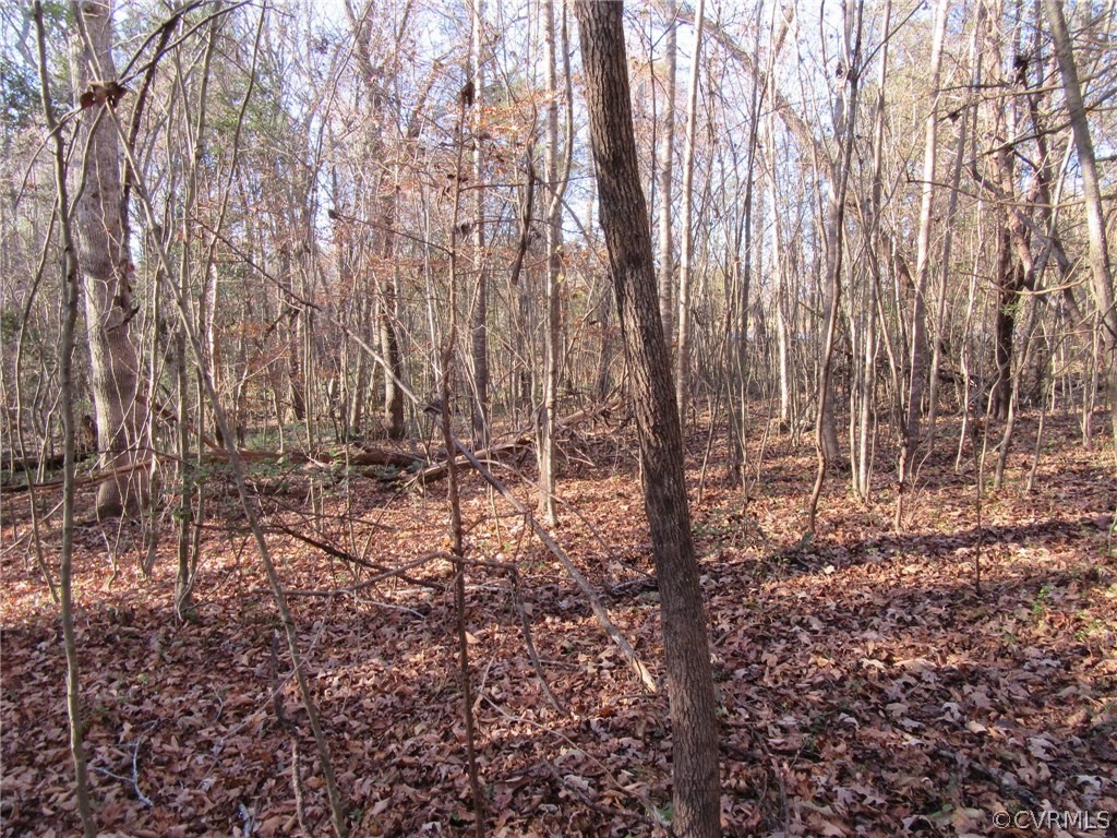 7659 Jerusalem Plank Road Disputanta, VA 23842 - Photo 42 of 42 Gallery Image 42