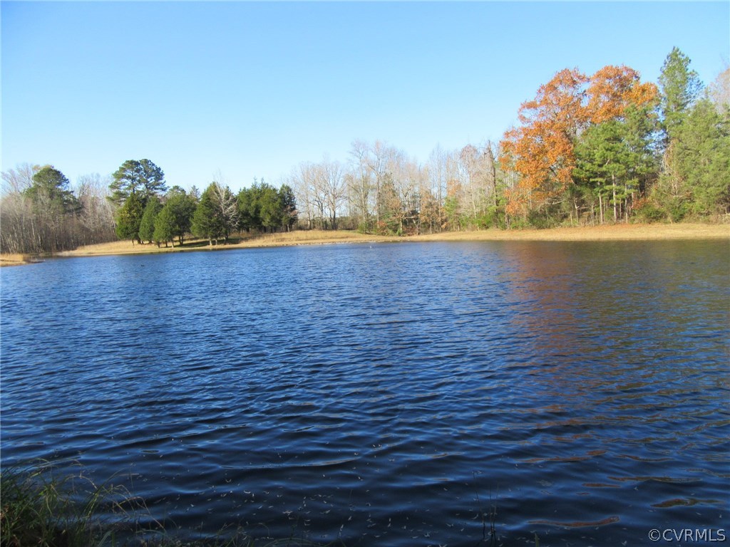 7659 Jerusalem Plank Road Disputanta, VA 23842 - Photo 5 of 42 Gallery Image 5