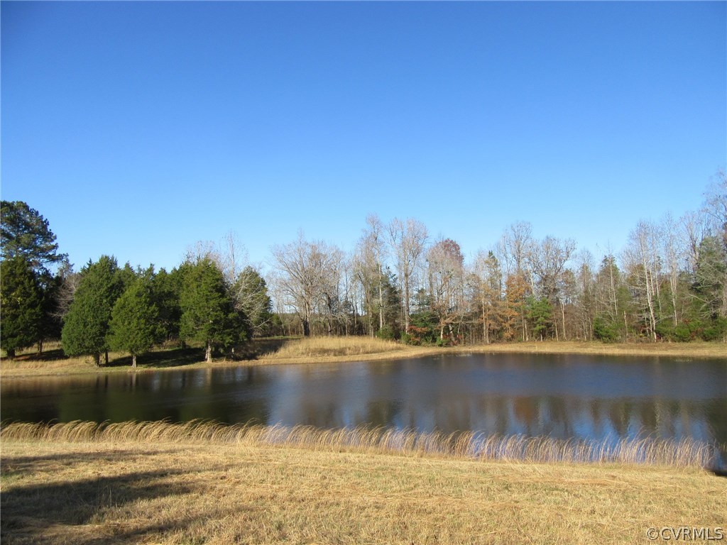 7659 Jerusalem Plank Road Disputanta, VA 23842 - Photo 9 of 42 Gallery Image 9