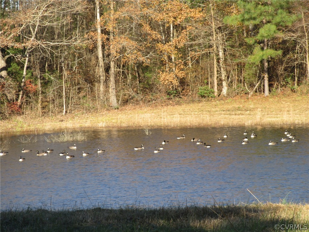 7659 Jerusalem Plank Road Disputanta, VA 23842 - Photo 10 of 42 Gallery Image 10