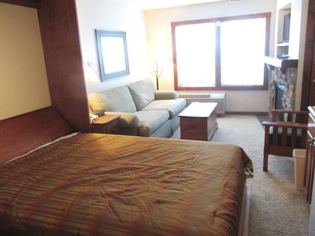 348 Rimfire Snowshoe, WV 26209 - Photo 4 of 10 Gallery Image 4