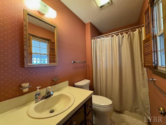 2459 Country Club Road Appomattox, VA 24522 - Photo 16 of 54 a bathroom with a sink toilet and mirror