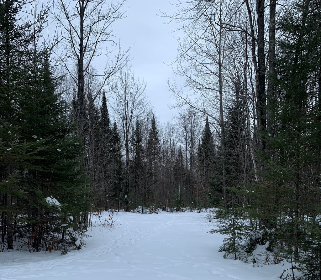 0 Other Butternut, WI 54514 - Photo 18 of 21