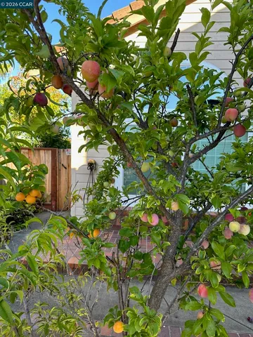 $6,800 | 243-243 Viewpoint Drive, Danville, CA 94506