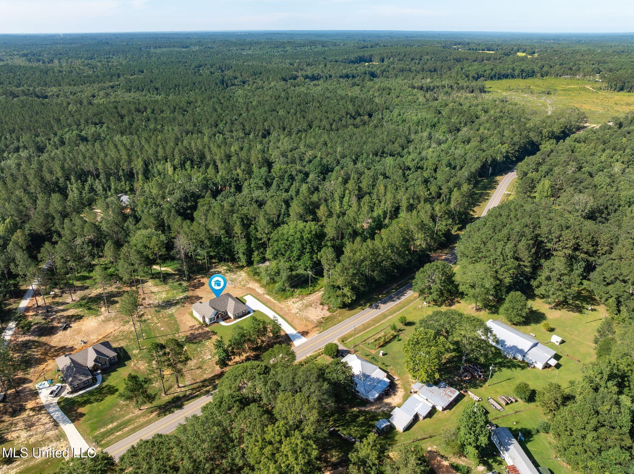3416 Rocky Branch Road Sumrall, MS 39482 - Photo 42 of 44 3416_Rocky_Branch_Rd-Drone-2