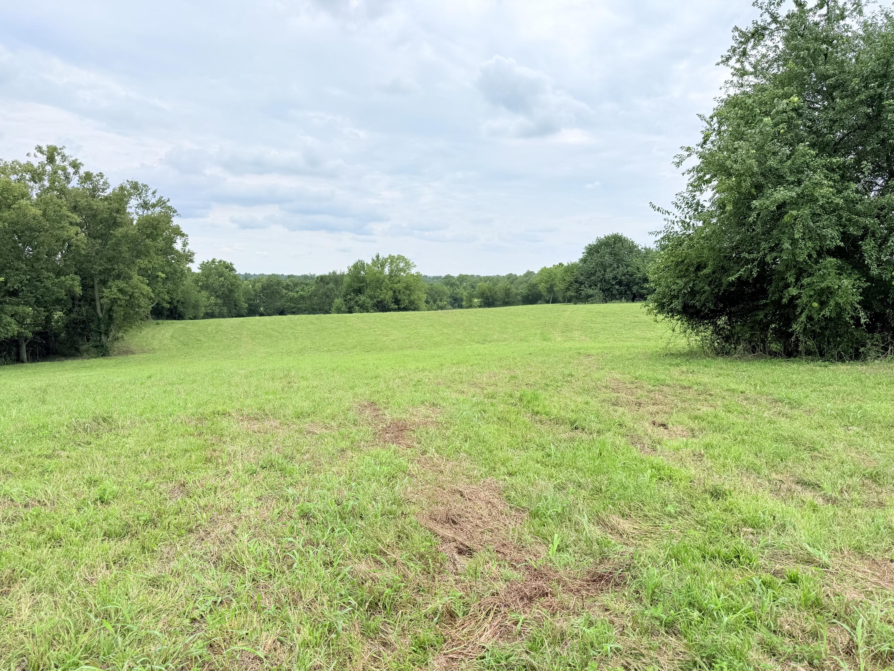 546 B Cane Ridge Road Paris, KY 40361 - Photo 11 of 14 IMG_7993