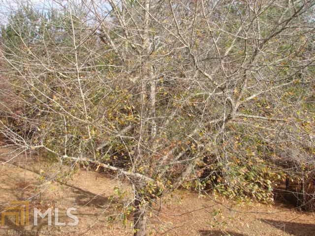 401 Old Good Hope Road, Unit 12 Good Hope, GA 30641 - Photo 1 of 1