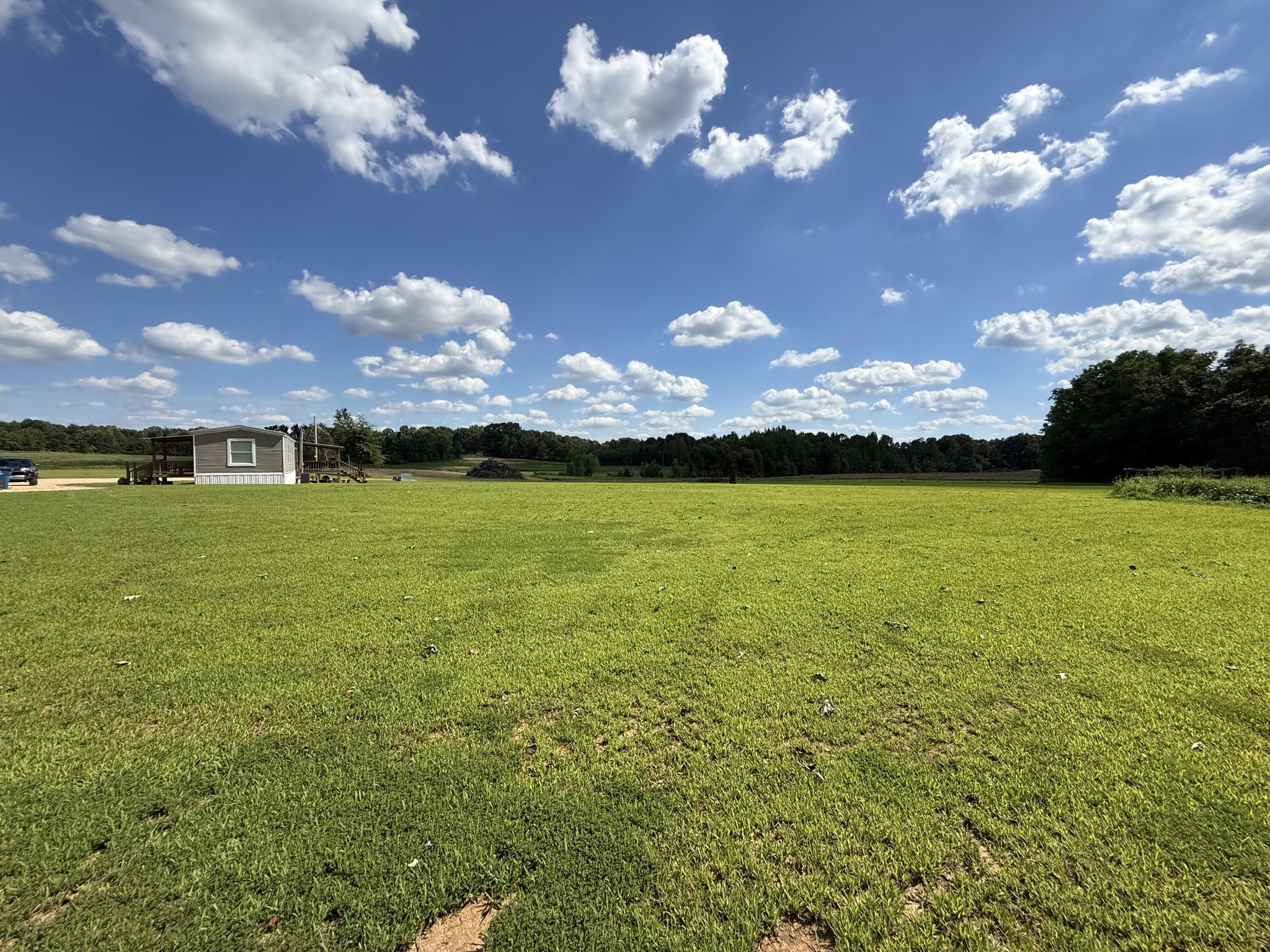2333 Shady Grove Road McKenzie, TN 38201 - Photo 33 of 72