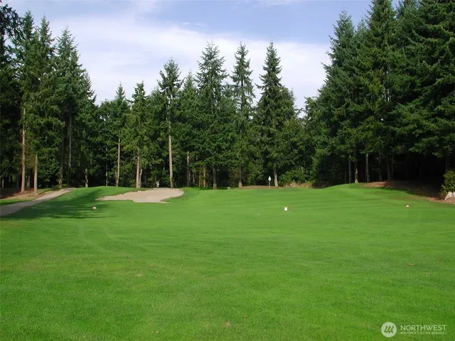 a close up of a plant in the kitchen