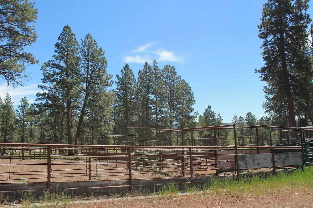 21310 Silver Lake Road Chiloquin, OR 97624 - Photo 13 of 34 Additional Photo