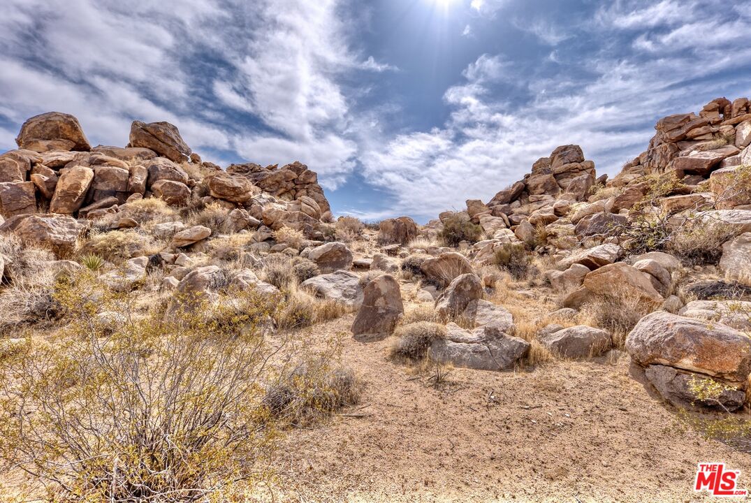 63131 Rocking Chair Road Joshua Tree, CA 92252 - Photo 57 of 66