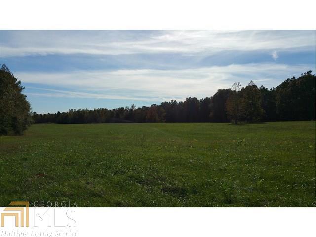0 Turner Bridge Road Meansville, GA 30285 - Photo 1 of 1 Gallery Image 1