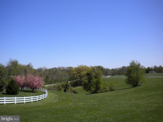 13541 Granview Road King George, VA 22485 - Photo 13 of 15 View of lower pasture