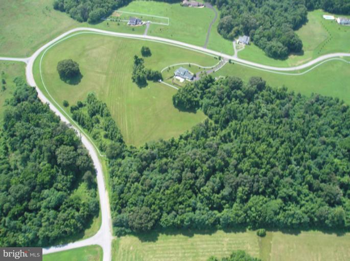 13541 Granview Road King George, VA 22485 - Photo 14 of 15 18 Acres
