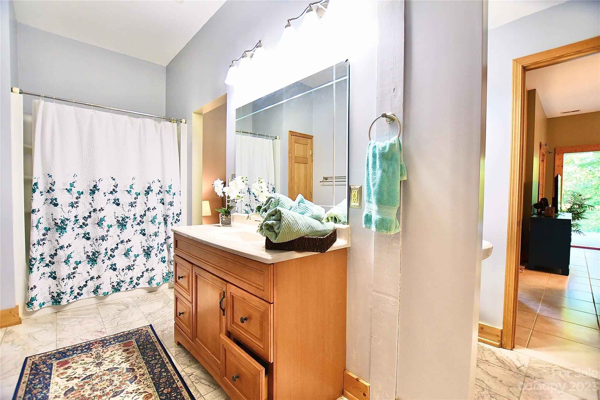 3703 Back Bluff Drive Morganton, NC 28655 - Photo 47 of 48 a bathroom with a sink a mirror and a shower