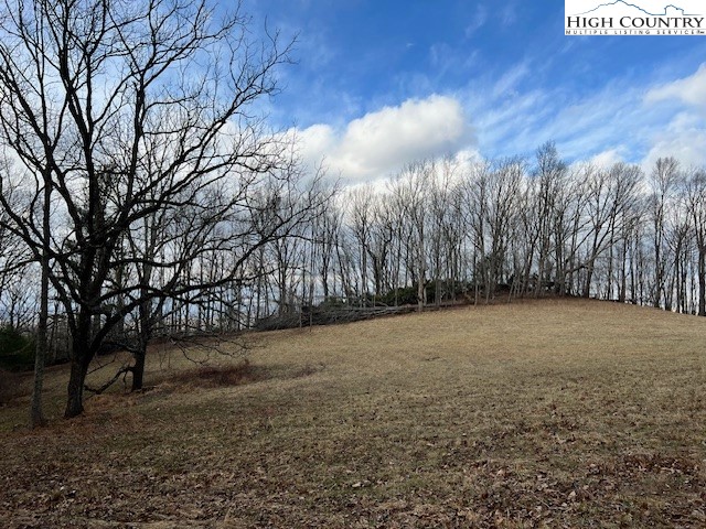 Mcneill Road Lansing, NC 28643 - Photo 3 of 18