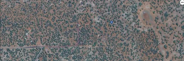 a close up view of a plant