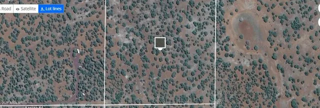 a view of a wall with an plants