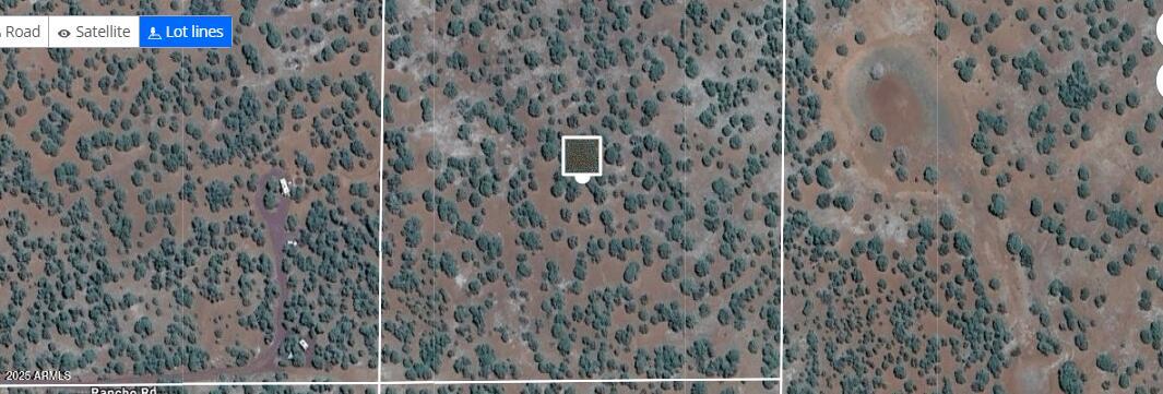 7990 Rancho Road, Unit 18 Show Low, AZ 85901 - Photo 4 of 5 a view of a wall with an plants