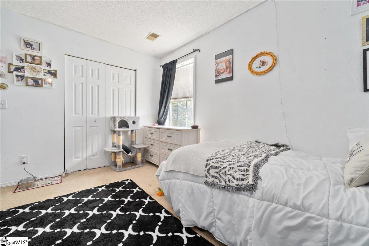 8 Pasture Place Simpsonville, SC 29681 - Photo 19 of 33