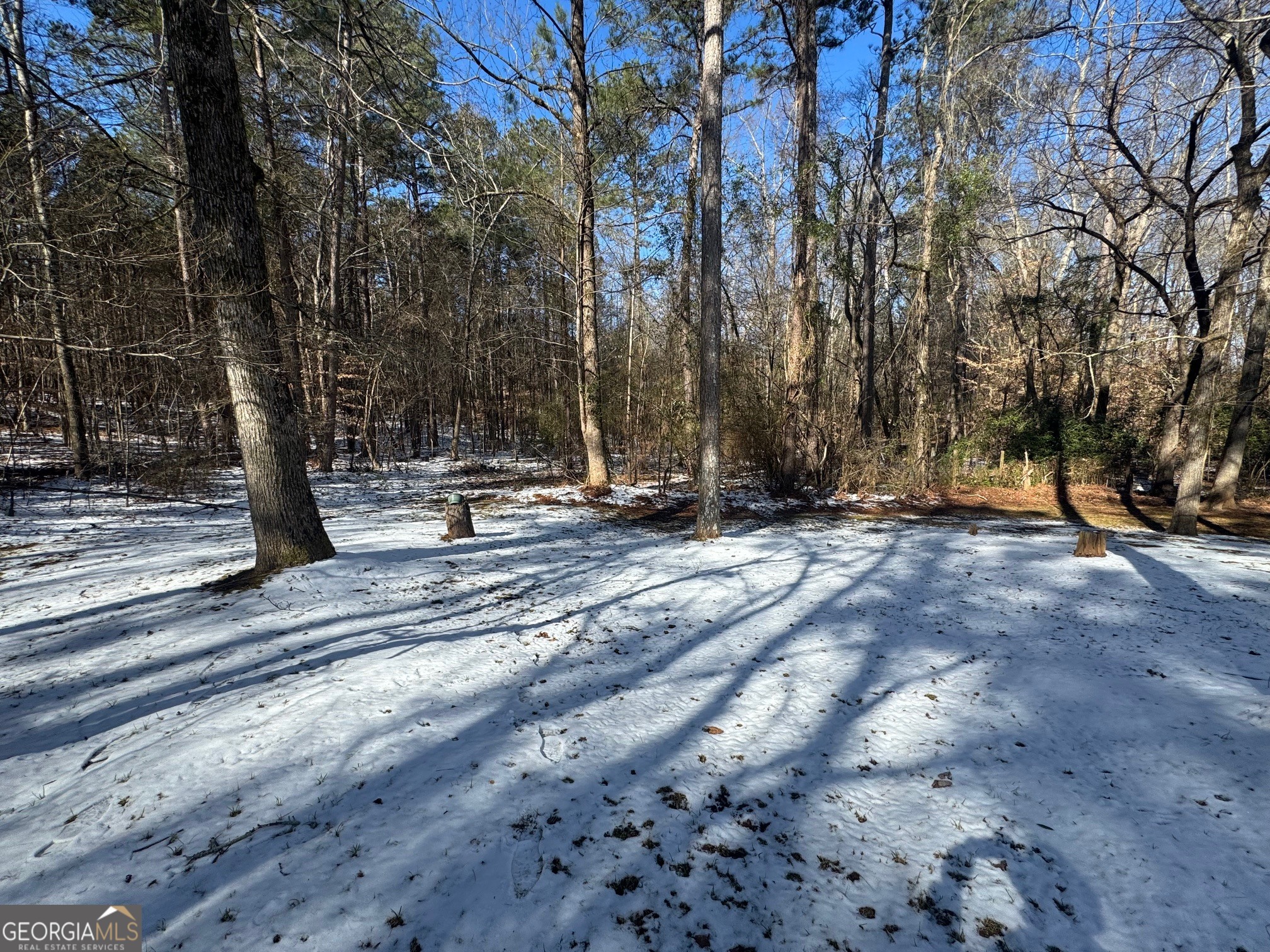 2574 Wire Bridge Road Arnoldsville, GA 30619 - Photo 10 of 10 a view of park with trees