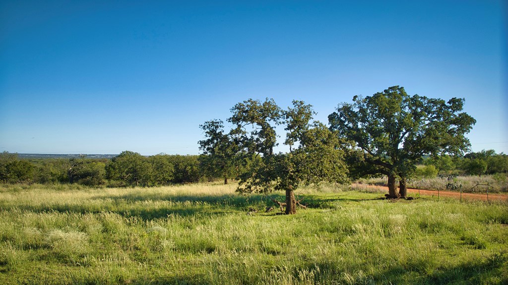 1884 Sandy Lane Road Mason, TX 76856 - Photo 11 of 20 Gallery Image 11