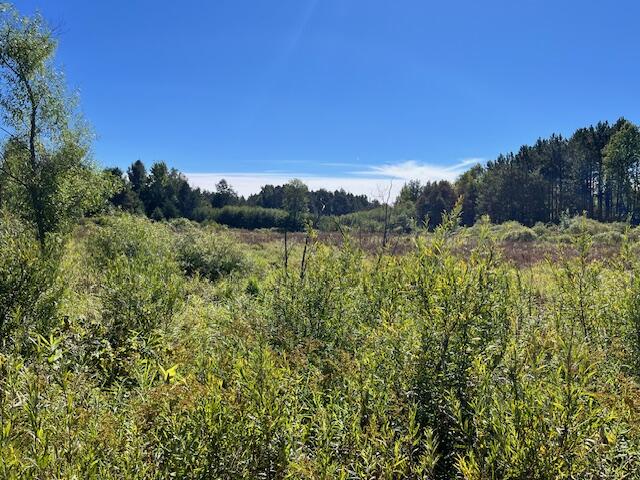 810 East 38 Road Cadillac, MI 49601 - Photo 19 of 19 IMG_2649