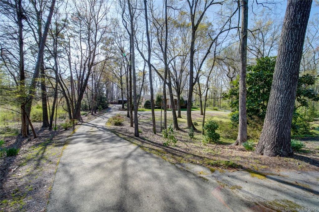 1415 Melchor Road Albemarle, NC 28001 - Photo 2 of 47 a view of a forest with trees in the background