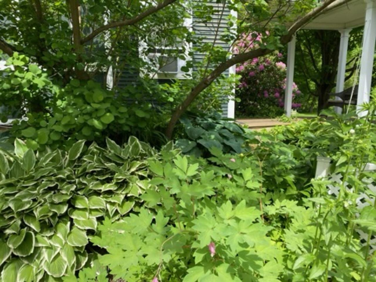77 River Street Milton, VT 05468 - Photo 54 of 58