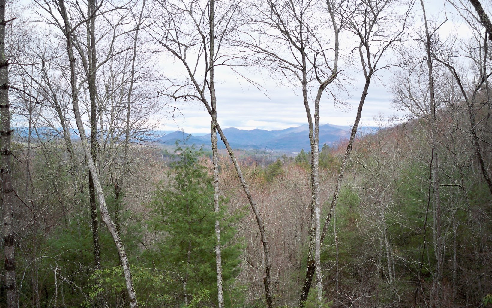 3685 Candy Mountain Road Murphy, NC 28906 - Photo 1 of 1 Main View