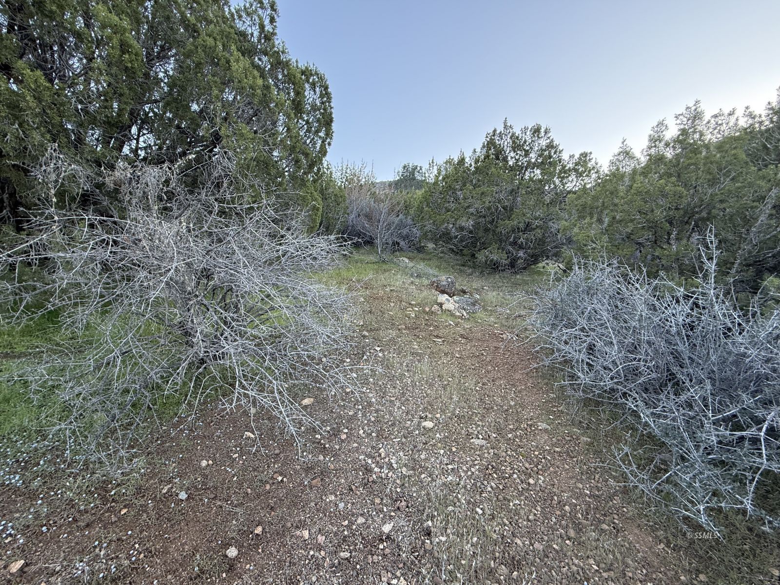 394 Rim Road Bodfish, CA 93205 - Photo 5 of 7
