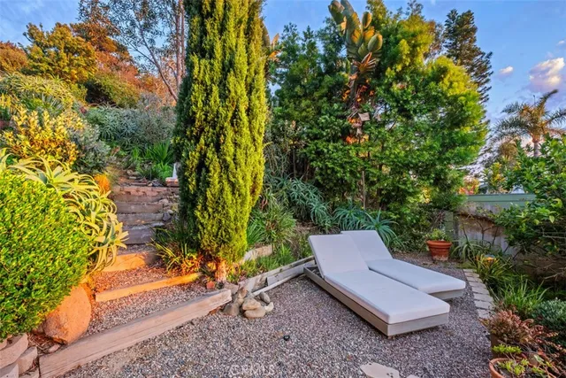 a view of a yard with plants and a bench