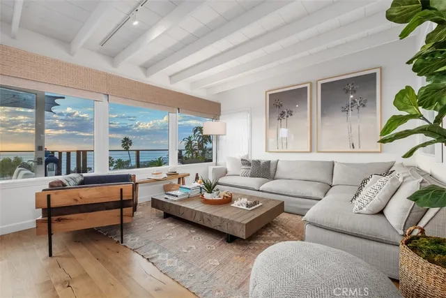 a living room with furniture and a potted plant