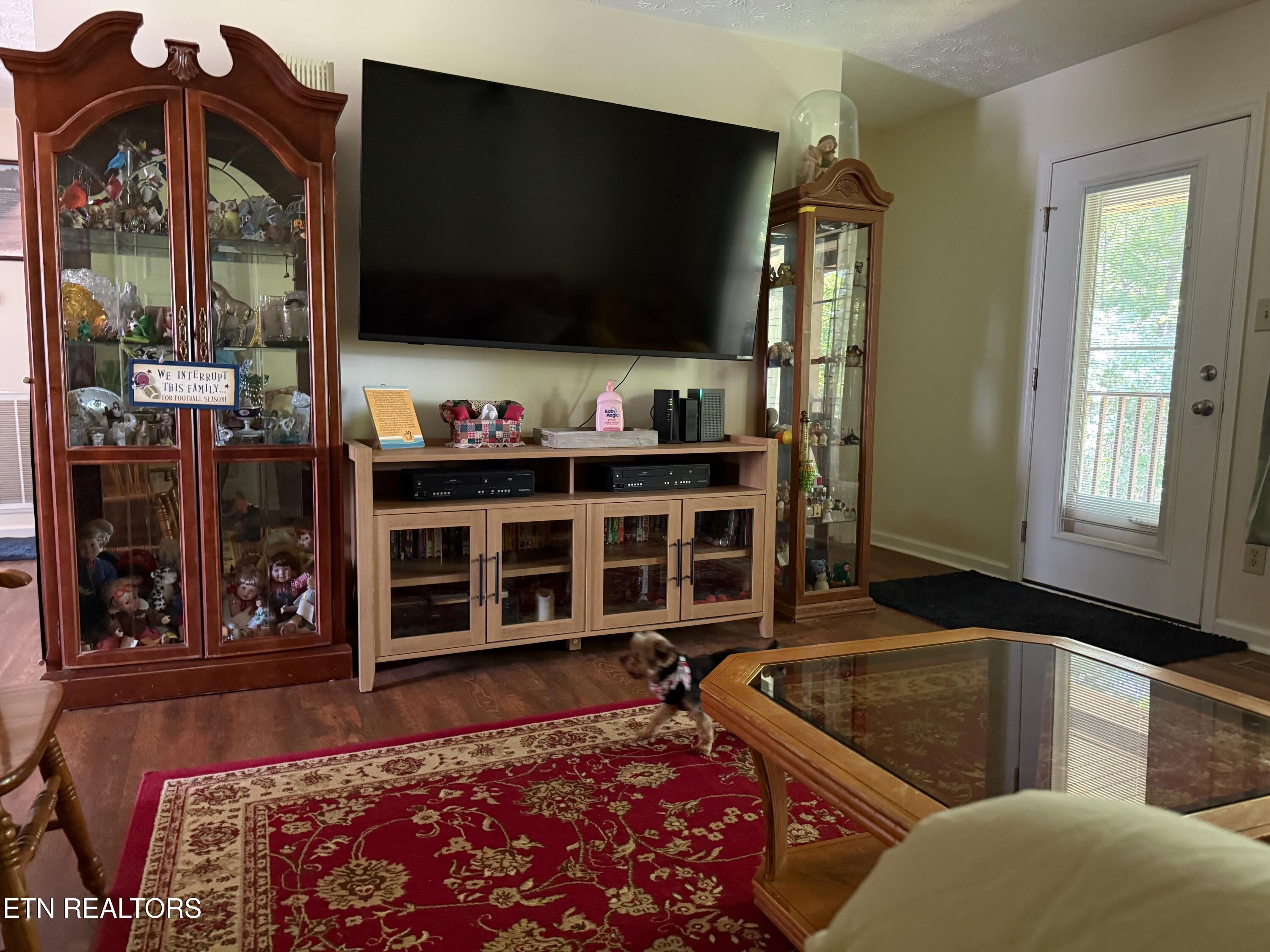 805 Punkton Road Del Rio, TN 37727 - Photo 12 of 53 Living Room