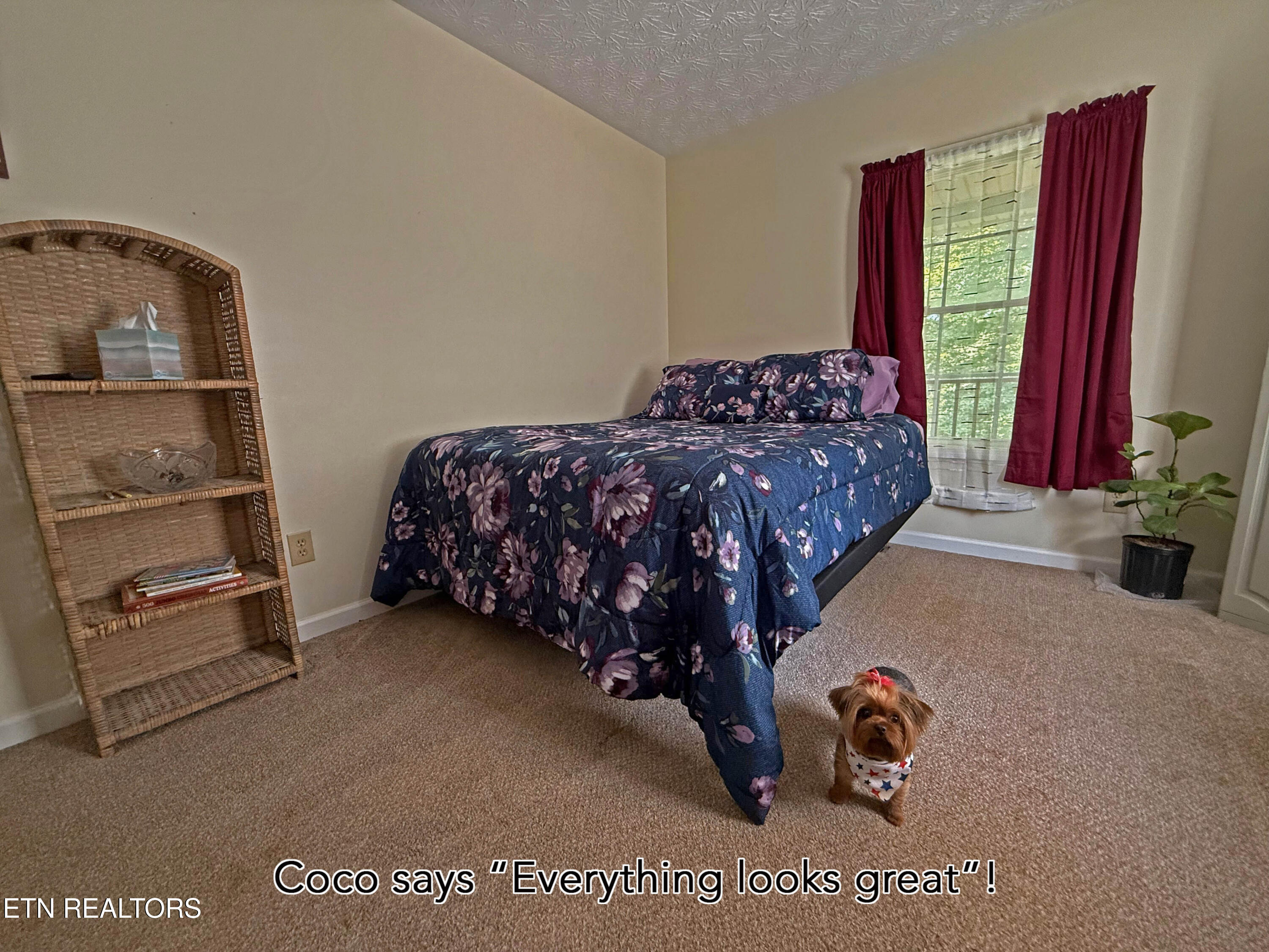 805 Punkton Road Del Rio, TN 37727 - Photo 18 of 53 Bedroom