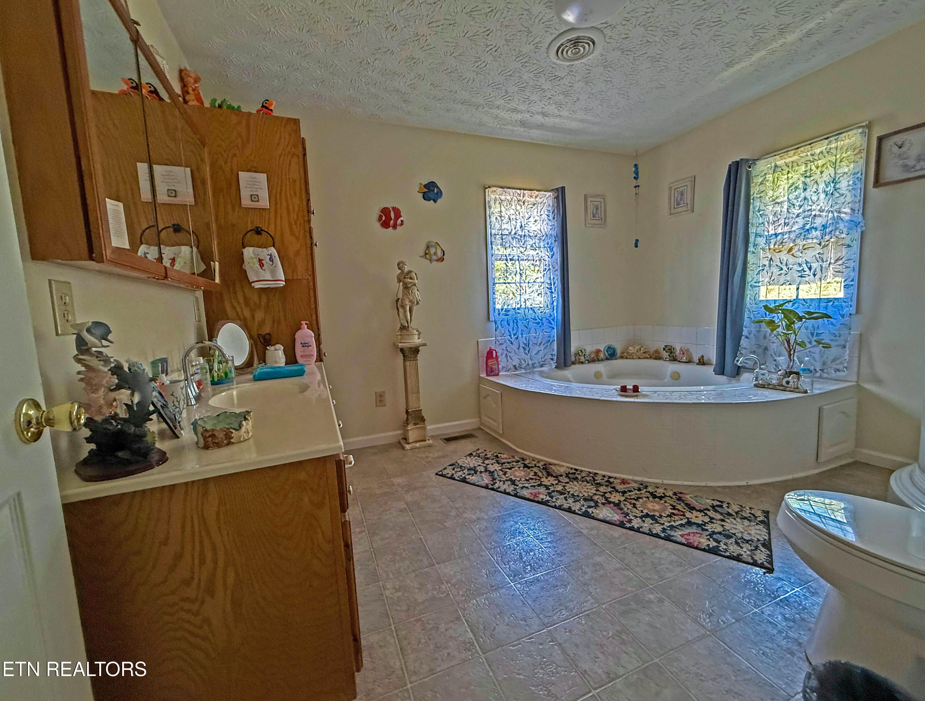 805 Punkton Road Del Rio, TN 37727 - Photo 19 of 53 Main Bath