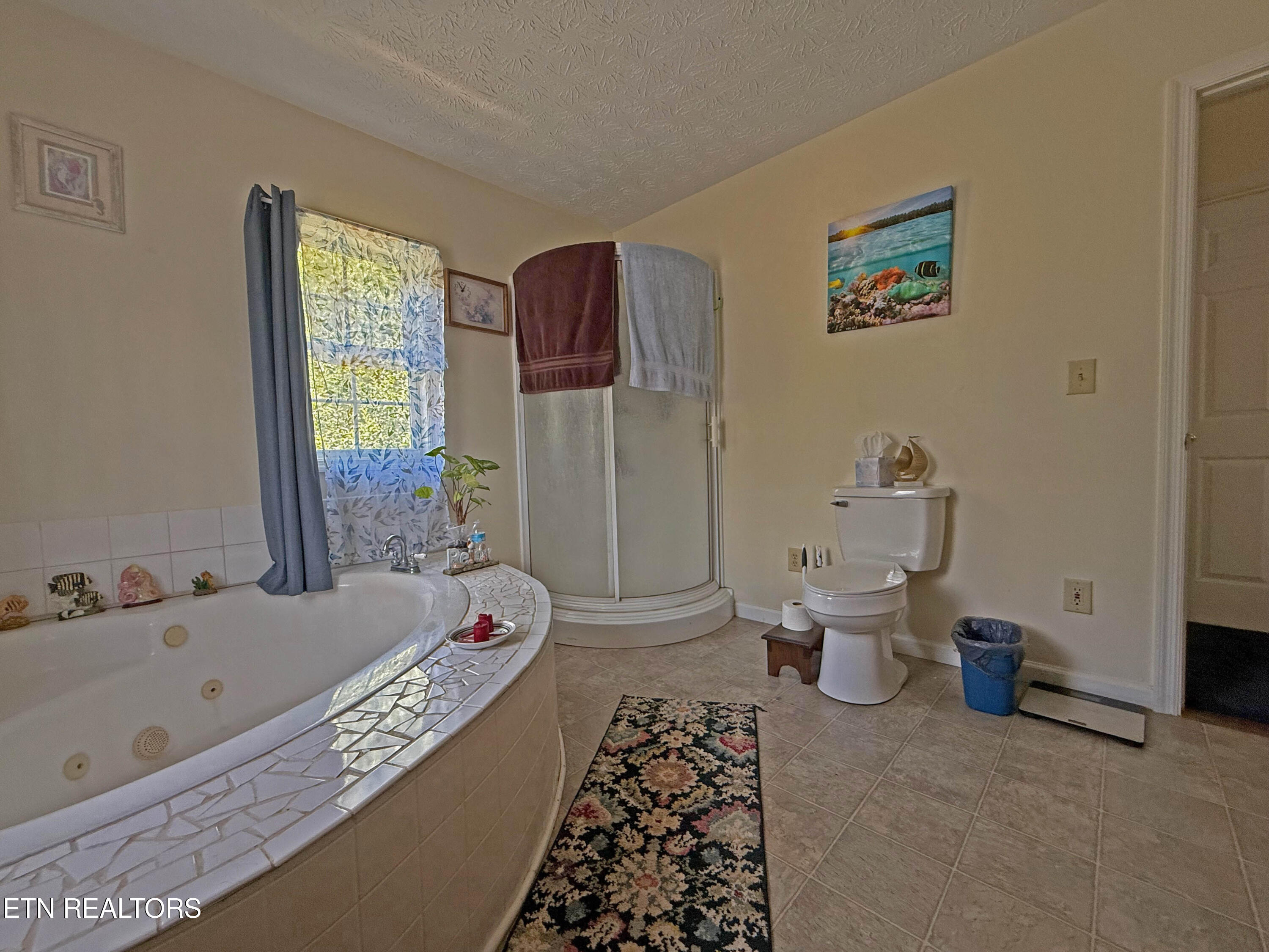 805 Punkton Road Del Rio, TN 37727 - Photo 20 of 53 Main Bath
