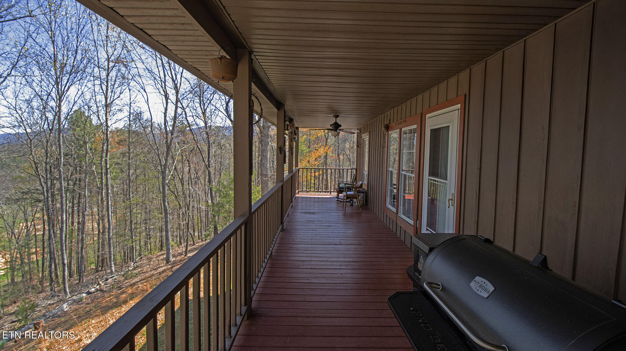 805 Punkton Road Del Rio, TN 37727 - Photo 27 of 53 Back deck