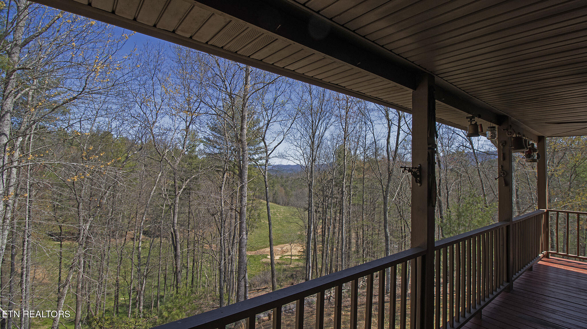805 Punkton Road Del Rio, TN 37727 - Photo 28 of 53 Early spring view