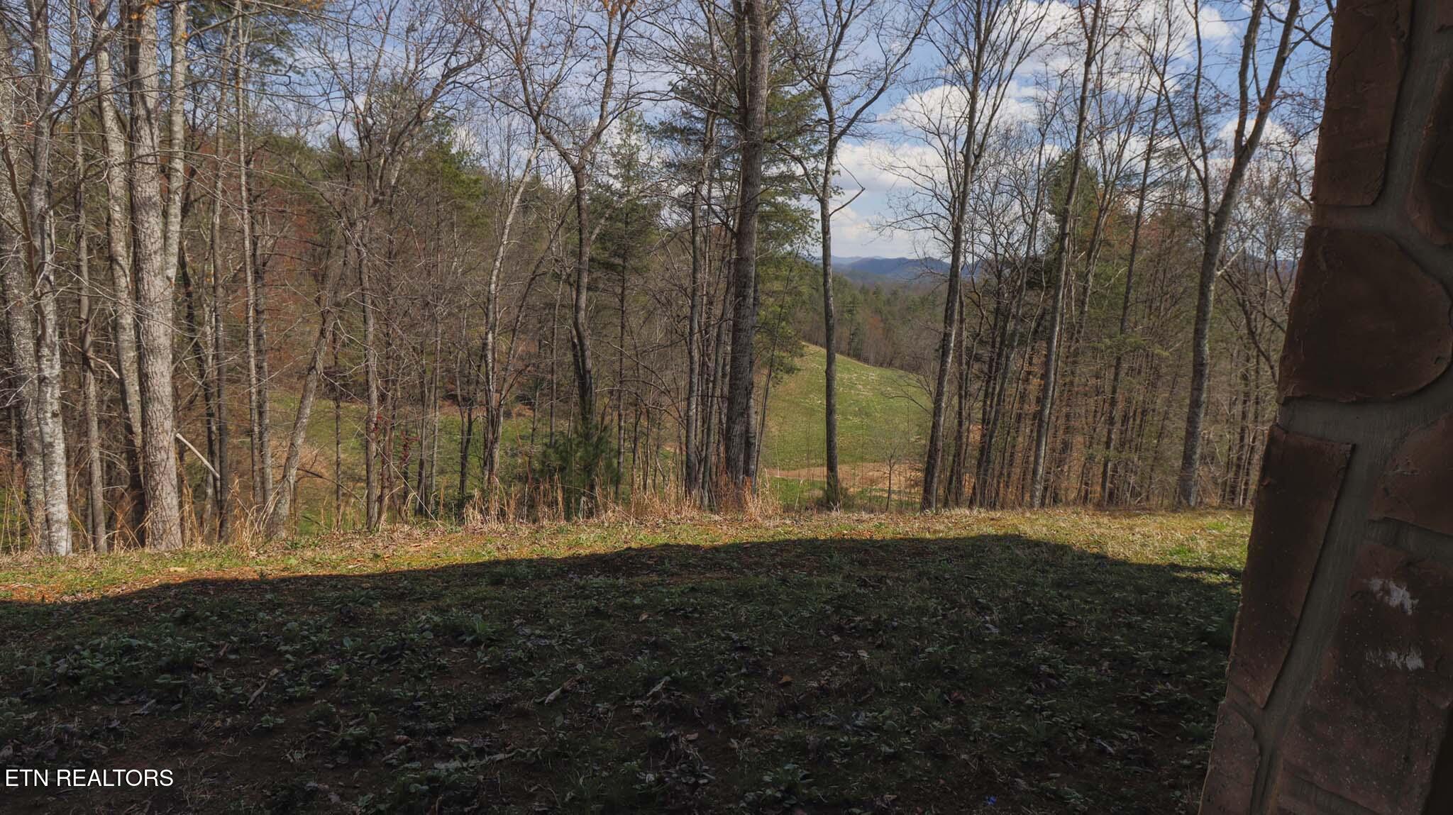 805 Punkton Road Del Rio, TN 37727 - Photo 29 of 53 Early Spring view