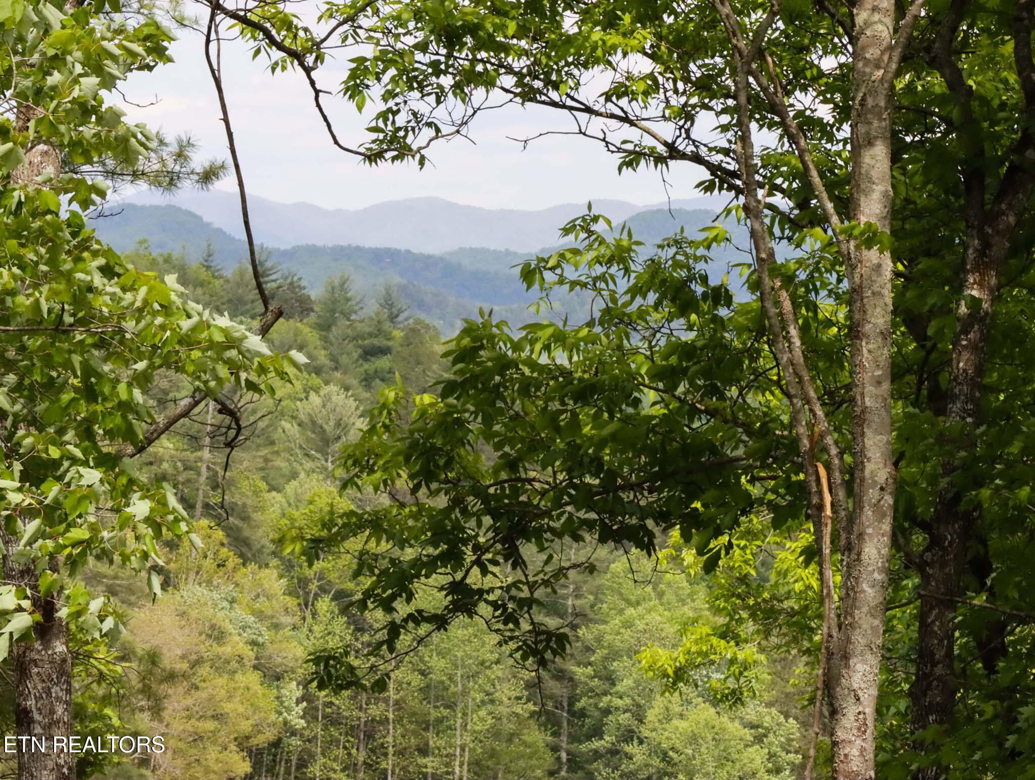 805 Punkton Road Del Rio, TN 37727 - Photo 30 of 53 Summer view