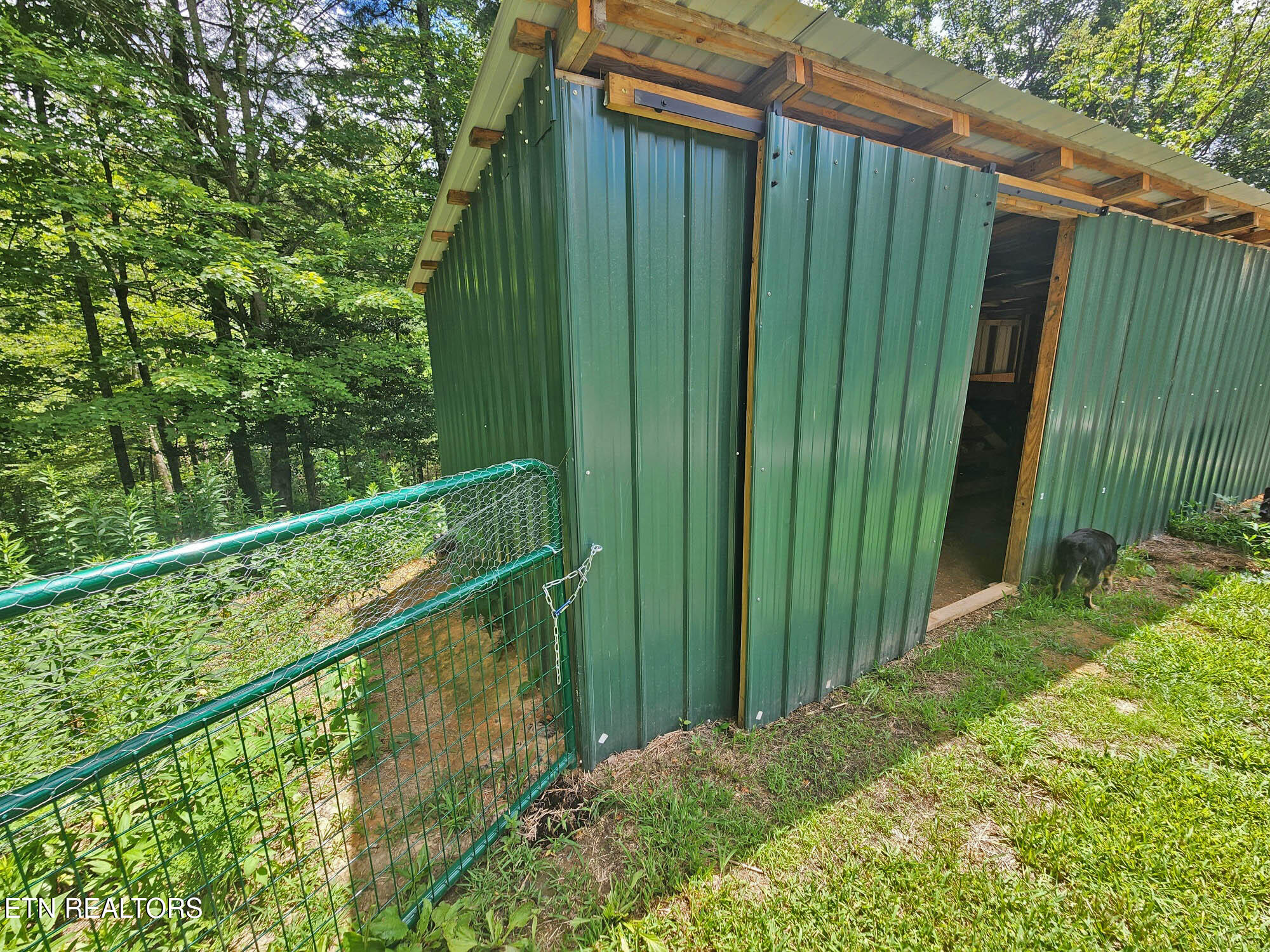 805 Punkton Road Del Rio, TN 37727 - Photo 38 of 53 goat barn:chicken coop