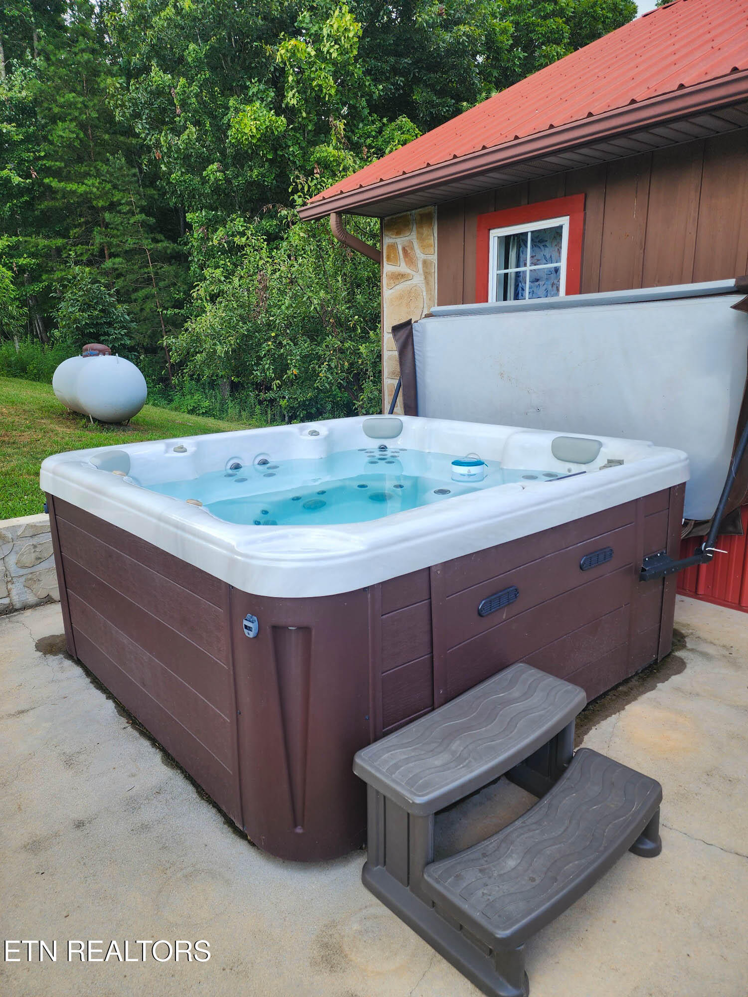 805 Punkton Road Del Rio, TN 37727 - Photo 5 of 53 Hot tub 1