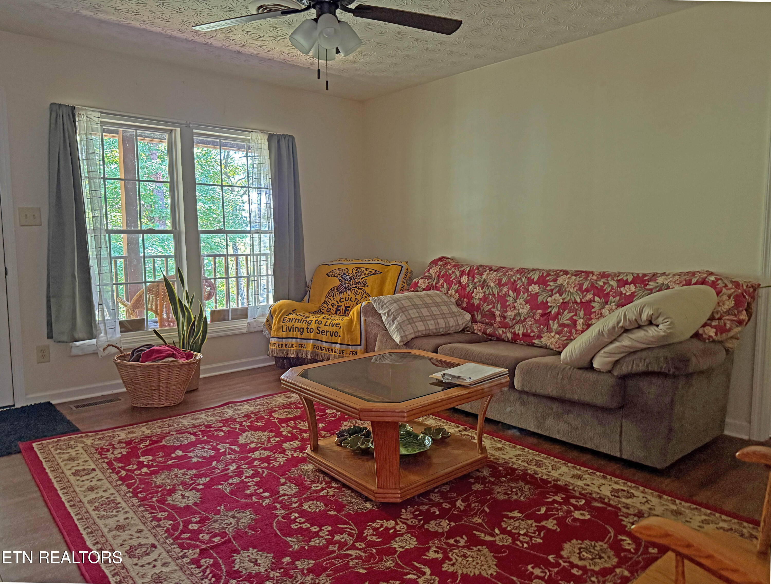 805 Punkton Road Del Rio, TN 37727 - Photo 10 of 53 Living Room