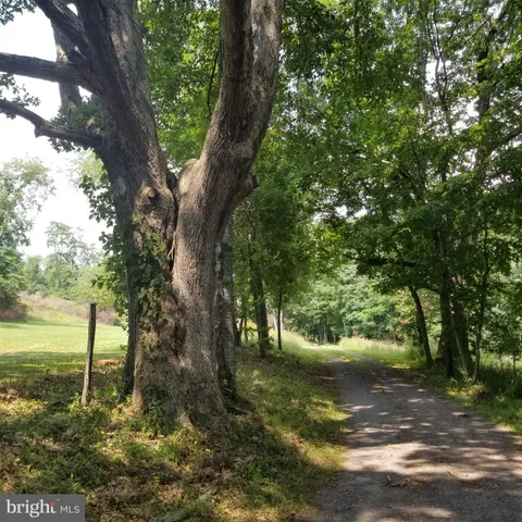 a view of a field with trees in the background