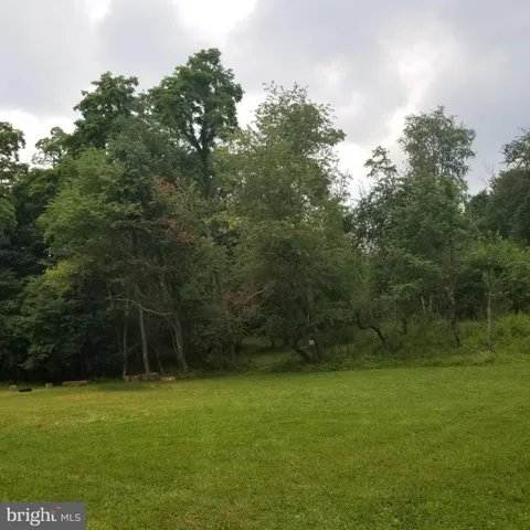 a view of a lush green space